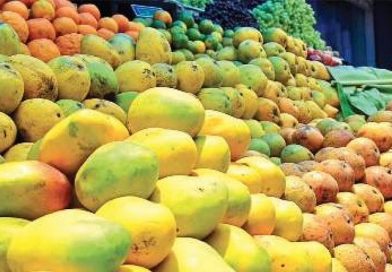 भारतीय आमों में भारी केमिकल, जापान के बाद अब नेपाल ने भी लौटाया आम