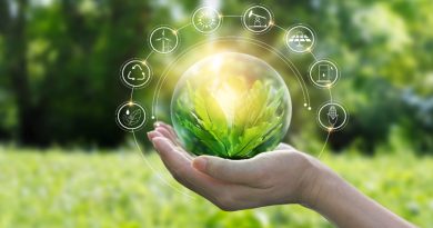 ग्रीन-अर्थव्यवस्था