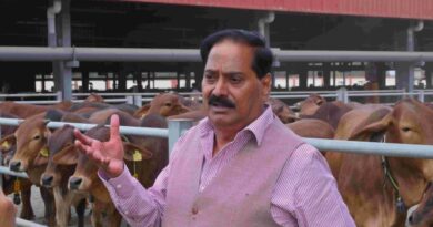 अब IVF से पैदा होंगी रोजाना 50-60 लीटर दूध देने वाली गाय, देश में पहली बार 116 गायों पर सफल परीक्षण