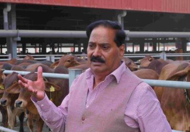 अब IVF से पैदा होंगी रोजाना 50-60 लीटर दूध देने वाली गाय, देश में पहली बार 116 गायों पर सफल परीक्षण