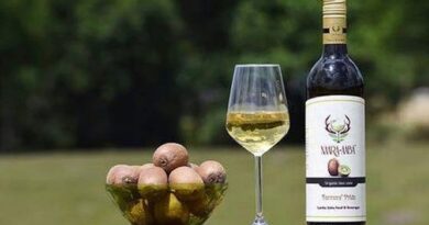 देश में न्यूजीलैंड की वाइन-कीवीफ्रूट जैसे सामान सस्ते होंगे, 5000 को वर्किंग वीजा