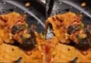 मुंबई में फेमस रेस्टोरेंट में डोसा खाते समय अंदर दिखा मरा हुआ चूहा, यह है नाम