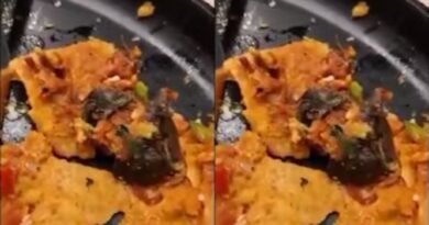 मुंबई में फेमस रेस्टोरेंट में डोसा खाते समय अंदर दिखा मरा हुआ चूहा, यह है नाम